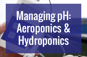 Managing pH in Hydroponics and Aeroponics Systems